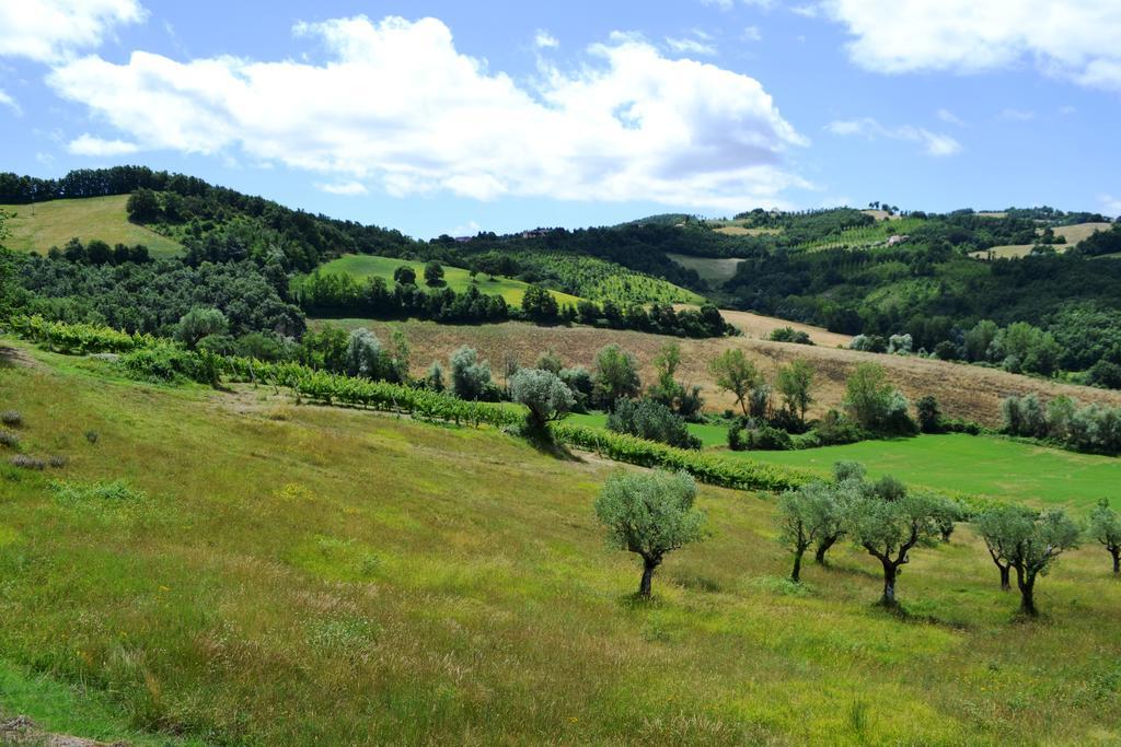 Agriturismo Marano Mengara Exterior foto